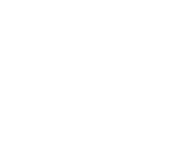 western-globle-logo